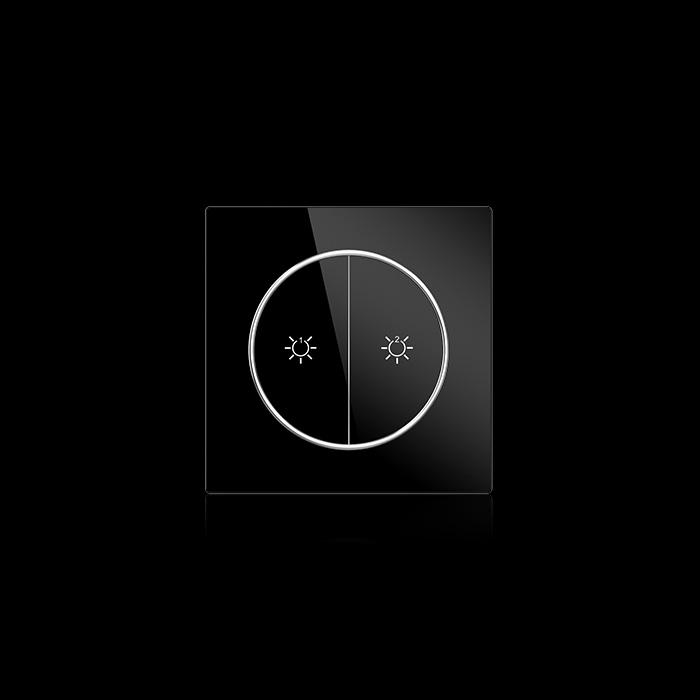 TMS-D-ZJ-B-D02  二路灯光面板