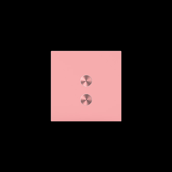 TMS-D-ZJ-C-D02粉   二路灯光面板-粉